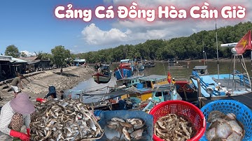 Cảng cá chợ đồng hòa cần giờ hải sản đánh bắt ồ ạt