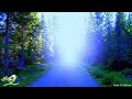 30 Minutes of Beautiful Violin Cello Piano Instrumental Music