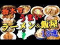 【栃木県栃木市グルメ】★栃木市のうまかったラーメン屋&めし屋13選