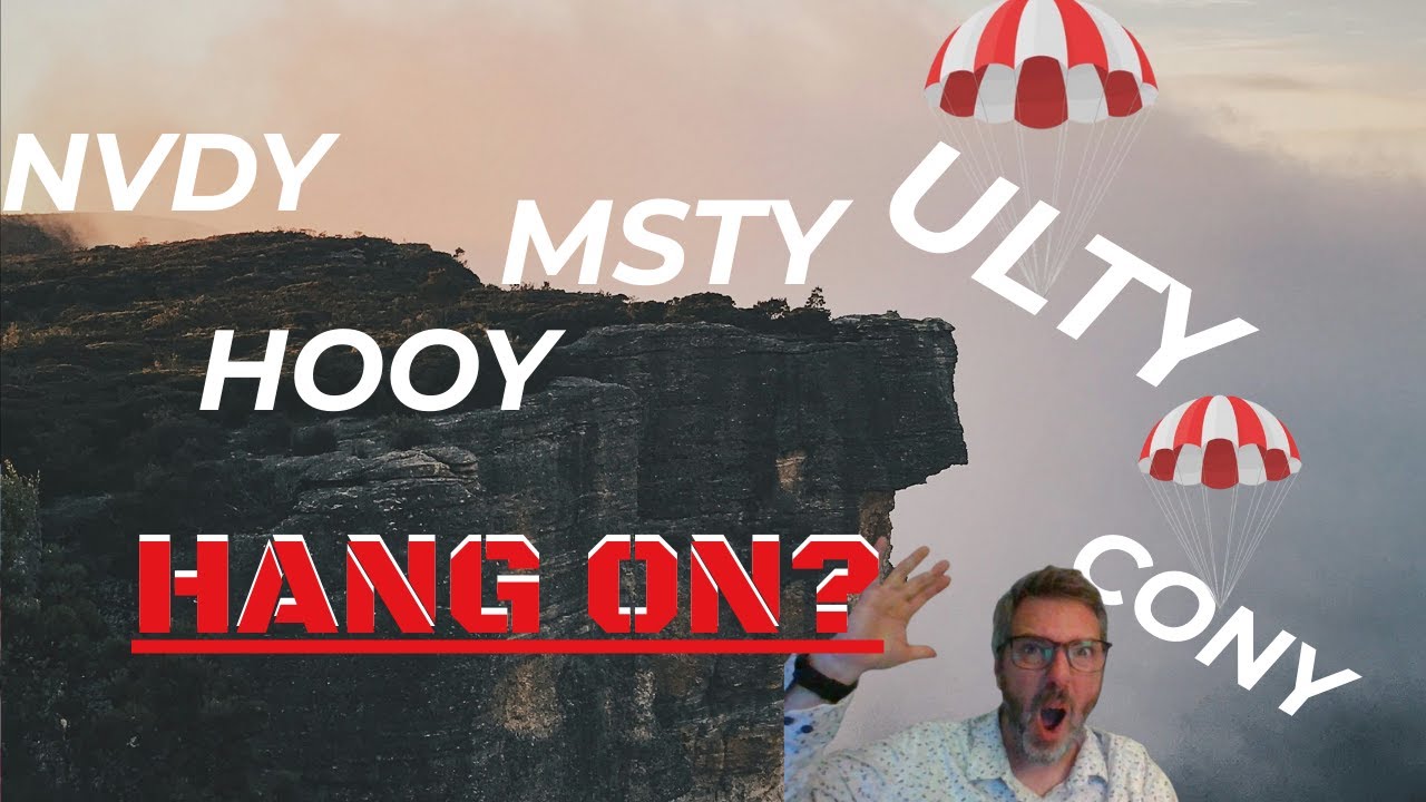 Hold Tight! My Plan for Surviving the Dip 💪📉