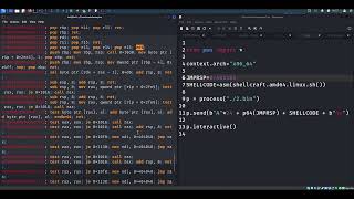 CIS 311 - Buffer Overflows, Example 2 Wealth