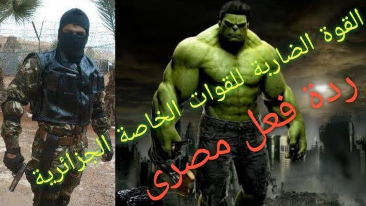 ردة فعل مصرى على القوة الضاربة للقوات الخاصة الجزائرية Forces spéciales algérienn ردة فعل مصرى