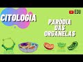 Citologia Paródia das Organela | Animação