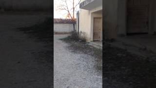Survıvora Katıldım (Köyde)