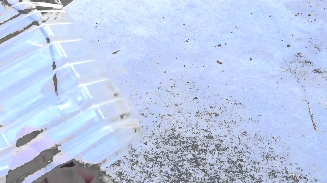 ミナミヌマエビ採取 ペットボトルで捕獲機の 作り方 と実践 方法 試してみたペットボトル漁 Youtube