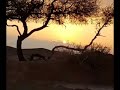 شيله رومنسيه ليتني وياك برضن خلاويه الشاعر حسن الادهم ادا ناصر مبروك شيله رومنسيه ليتني وياك برضن خلاويه الشاعر حسن الادهم ادا ناصر مبروك