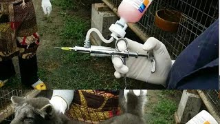 How to repair automatic syringe