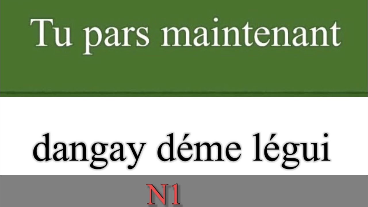 Apprendre le français en wolof / jäng français en wolof || des phrases plus utilisées N1