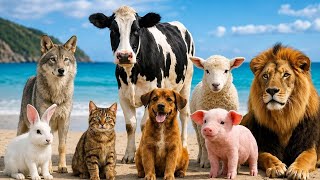 Wild and Farm Animal Sounds for Kids screenshot 2