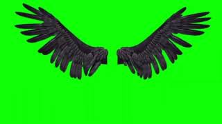 Футаж Крылья на зелёном фоне - хромакей