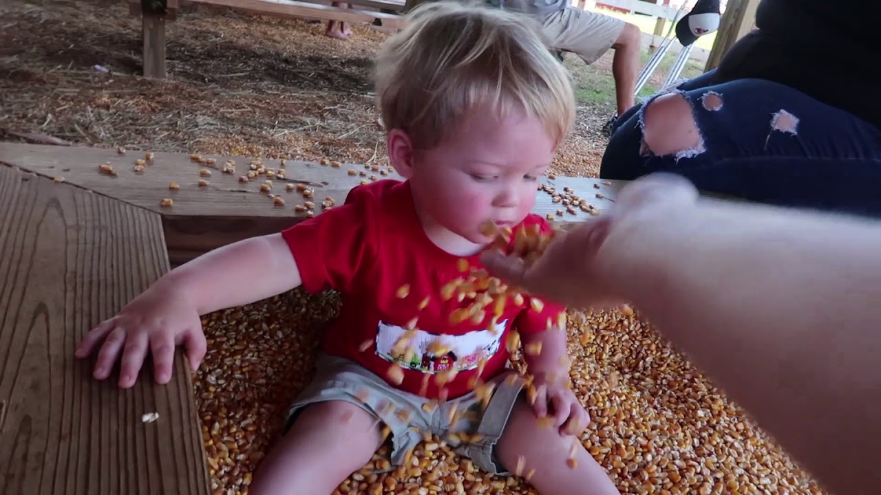 Denver Downs YouTube denver-downs-youtube