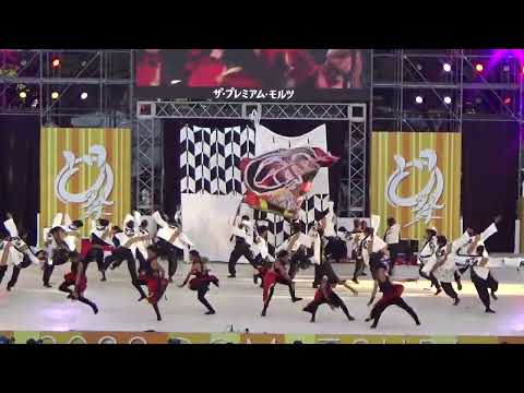 2022　どまつり　天狗ぅ　セミファイナル　4チーム目演舞（中央）