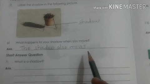 Game of lights workbook