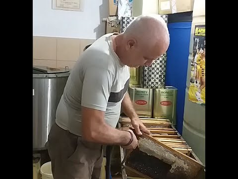 Η διαδικασία τρύγου