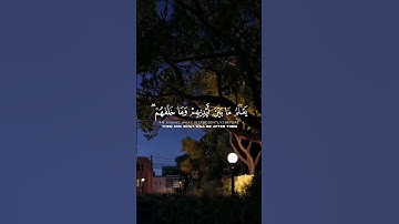 Quran alkrim- القرآن الكريم  | أية الكرسي #quran #المصحف #البقرة ططط #حالات_واتس
