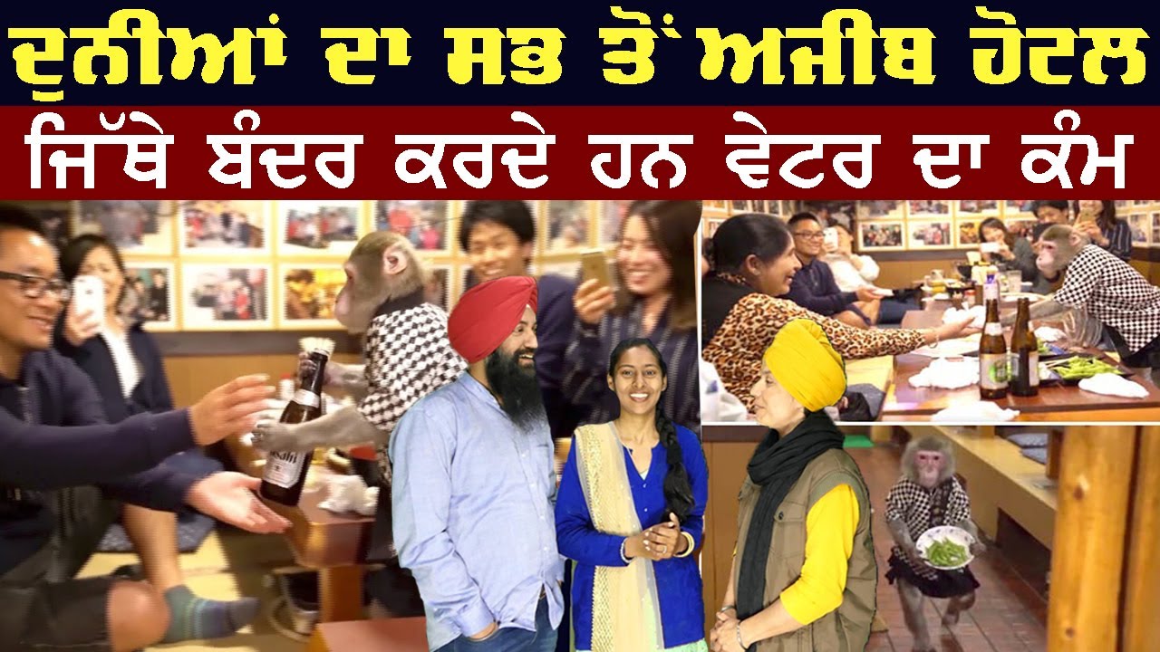 Kayabukiya Tavern Restaurant Monkey Bar in Japan Monkeys as Waiters