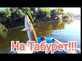 Ловля щуки на крупные приманки!!!!  ЖАРА 🔥