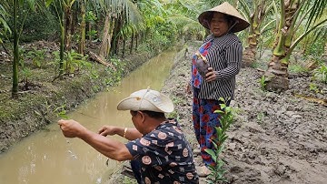 Chỉ Cần Vài Tay Lưới và Cái Bắp Chuối Gia Đình Có Thêm Bữa Cơm Ngon|TKQ & Family T754