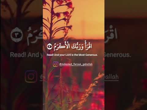 حالة واتس للشيخ عبد الناصر حرك رووعه قرآن عبدالناصر حرك