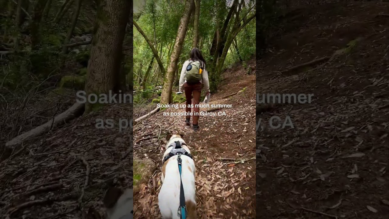 Soak up Summer in Gilroy