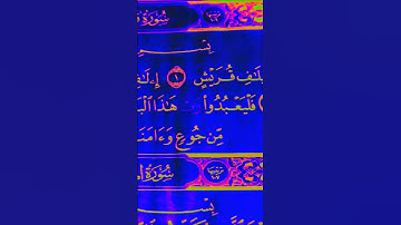 آيات من الذكر الحكيم القرآن الكريم سورة قريش محمد الفقيه