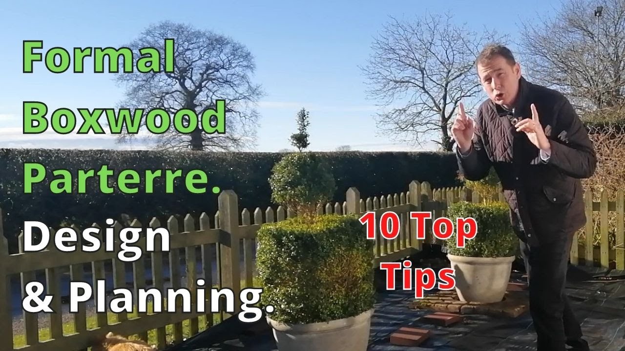 Boxwood Parterre Design and Planning. 10 tips.