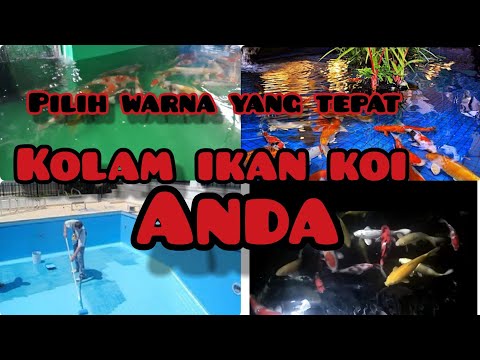 Video: Cat kolam getah ialah pilihan yang tepat