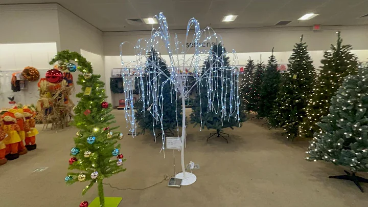 The Best Christmas Shopping in Boscov&#039;s