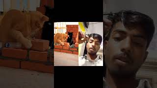 #colonelkkjϟ #funny #tassaneepaploen #hahaha #ทัศนีย์พาเพลิน #funnyvideos