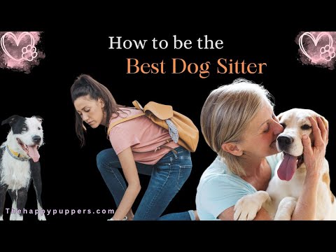 How to be the best dog sitter? #thehappypuppers #dogsitter #dogcaretips