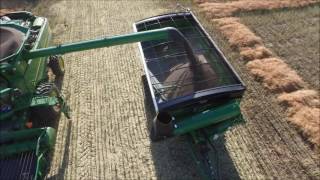 Early Winter Canola Hybrid (CC17065) Swathing Pick-Up/Harvest, Central TX