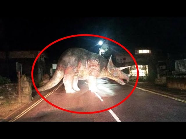 dinosaurs in real life