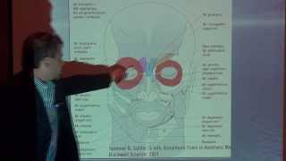 Muscle Anatomy  Empire Medical Training