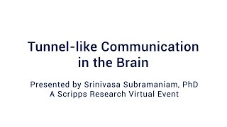 Tunnel-like Communication in the Brain: A Special Scripps Research Webinar 11/9/2020