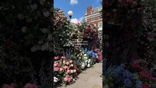 #ChelseaInBloom starts tomorrow 🌸 #shortsvideo