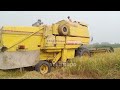 Heart touching harvester in punjab pakistan  daily vlog routine dhan ki katai  vella papo