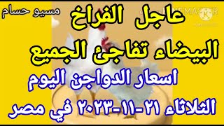 اسعار الفراخ البيضاء اليوم اسعار الدواجن اليوم الثلاثاء ٢١-١١-٢٠٢٣ في مصر
