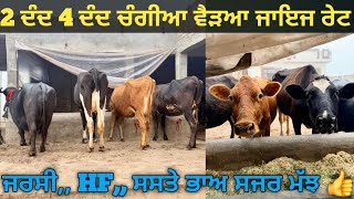 ਜਾਇਜ ਰੇਟ 4 ਪਸ਼ੂ ਵੀਕਾਓ। Buffalo and cow for sale/vadiya farm/28-12-25