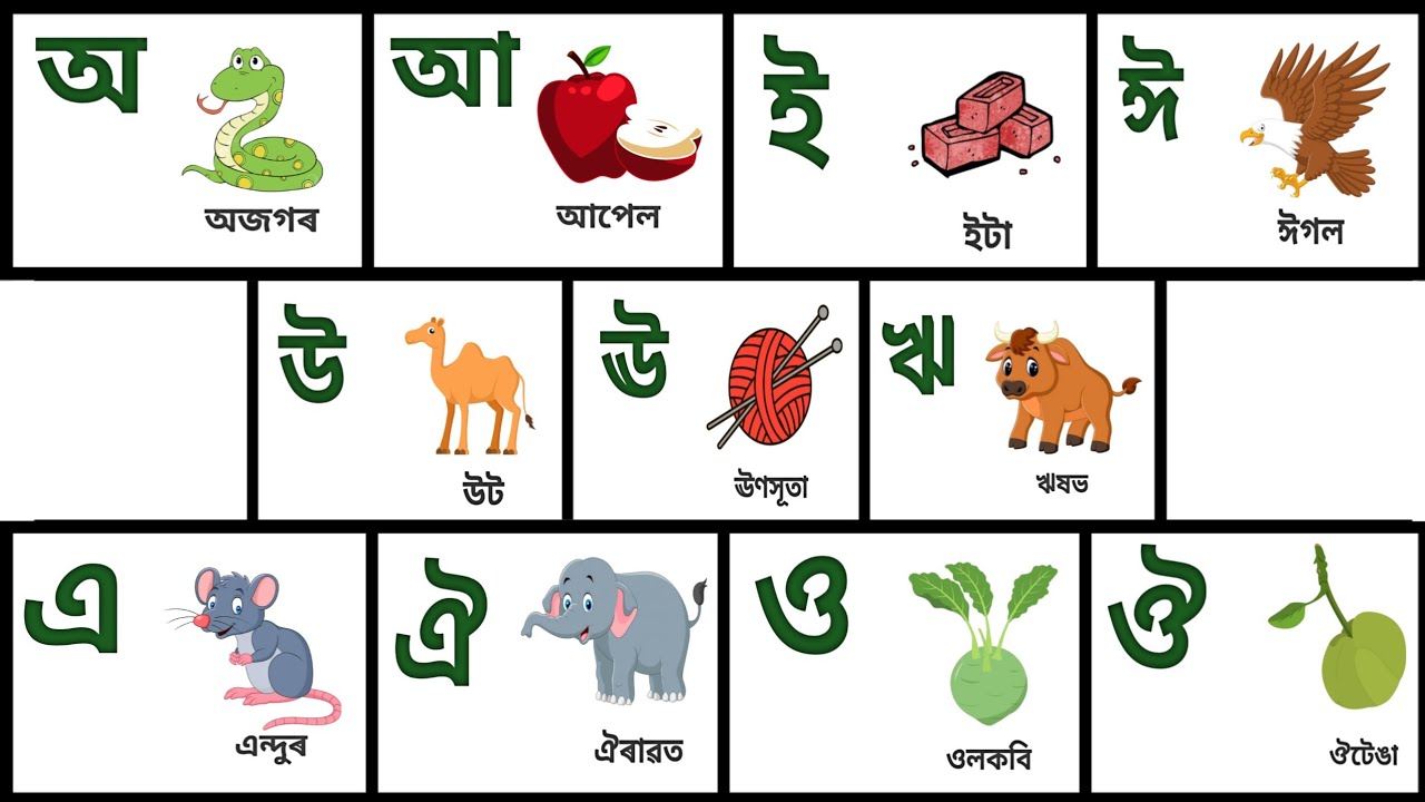 অ অজগৰ ঔ ঔটেঙা | A aa Assamese | Assamese a aa ee - YouTube