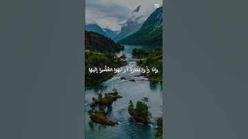 تلاوة جميلة #القرآن_الكريم #اكسبلور #المصحف #amazing #راحة_نفسية #nature