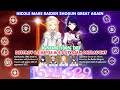 Nicole Make Raiden Shogun Great Again : Ignore 100% DEF Destroy 6.6 Abyss &amp; 6.6 Stygian Onslaught