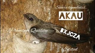 suara legendaris AKAU..