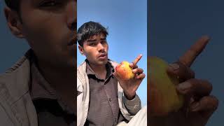 Apple खनेके का फ़ायदा