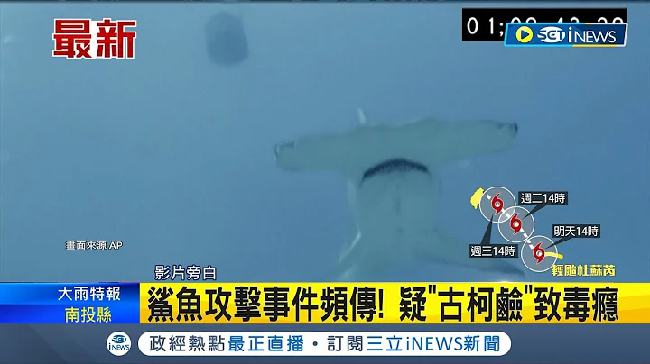 "熊盖毒"刚上映就惊见海洋版?! 不肖毒枭躲避追缉.大量古柯碱倒海里 鲨鱼攻击事件频传 科学家疑:鲨鱼也嗑药｜记者 王少筠｜【国际局势】20230722｜三立iNEWS - 天天要闻