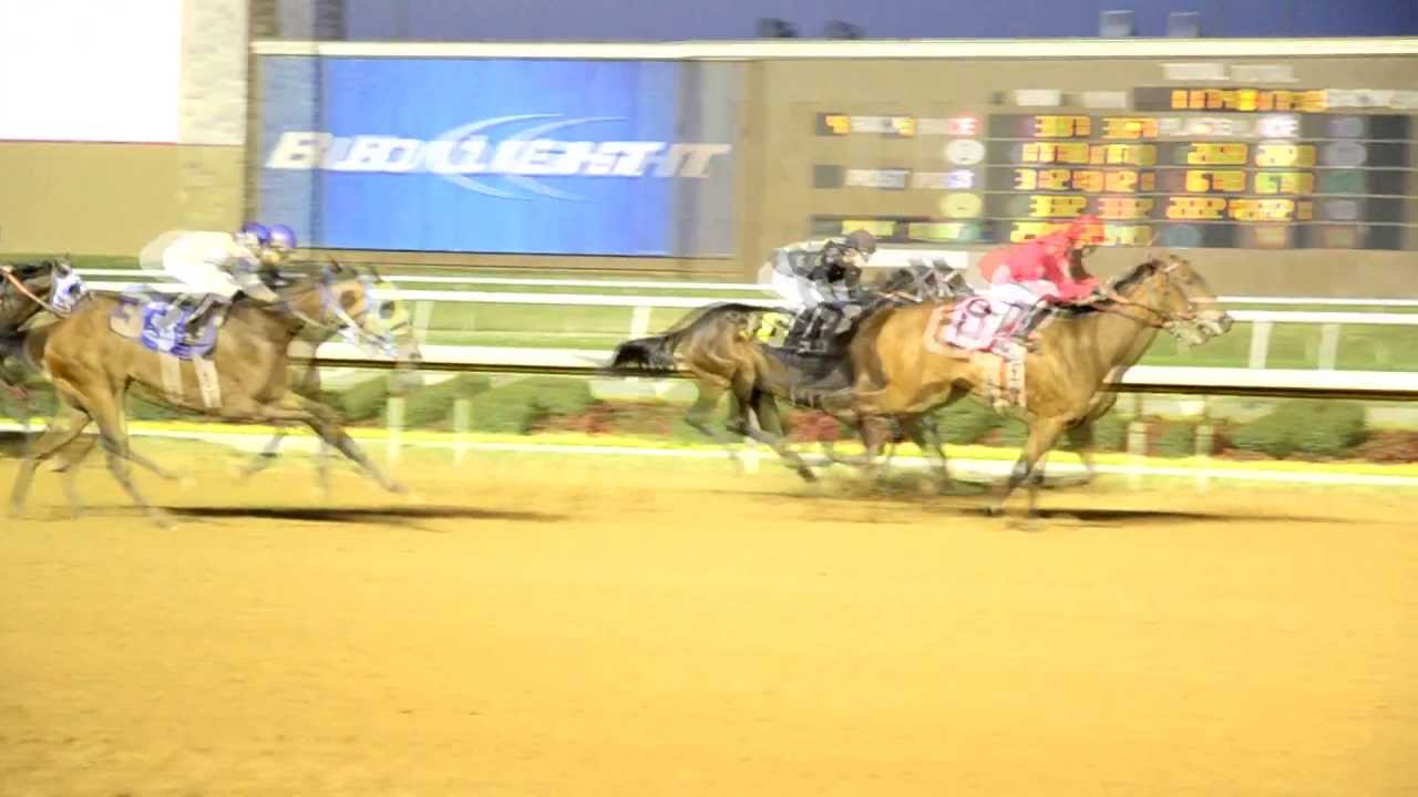Horse Jockey At Lone Star Park YouTube horse-jockey-at-lone-star-park-youtube