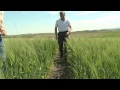 Video 2   The Value of Residues in Conservation Agriculture Systems