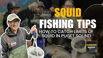 How to Catch Squid in Puget Sound | Beginner’s Guide to Jigs & Pier Etiquette