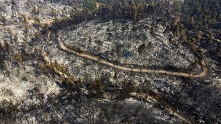 Azonnali segítség a görög erdőtüzek károsultjainak