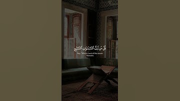 سورة المؤمنون | ياسر الدوسري                           #quran #القرآن_الكريم #اكسبلور