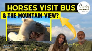 An Adventurous Journey to Mountain View with Spirited Horses Behind Us! S2E23